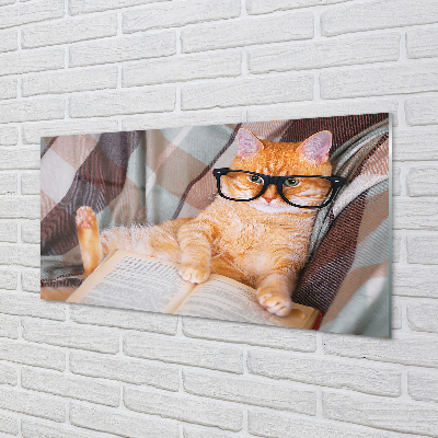 Panel Szklany Czytający kot
