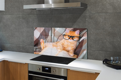 Panel Szklany Inteligentny Kot Bibliofil