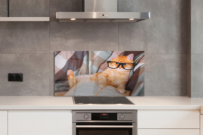 Panel Szklany Inteligentny Kot Bibliofil