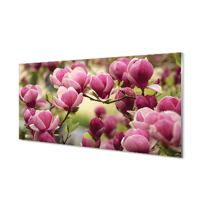 Panel Kuchenny Szklany Kwitnące Drzewa Owocowe