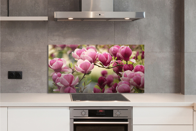 Panel Kuchenny Szklany Kwitnące Drzewa Owocowe