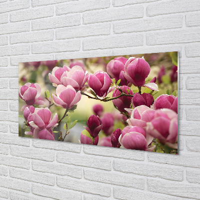 Panel Kuchenny Szklany Kwitnące Drzewa Owocowe