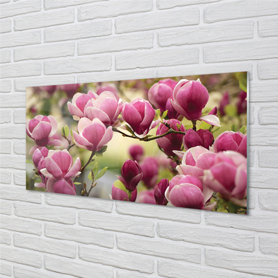 Panel Kuchenny Szklany Kwitnące Drzewa Owocowe