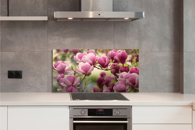 Panel Kuchenny Szklany Kwitnące Drzewa Owocowe