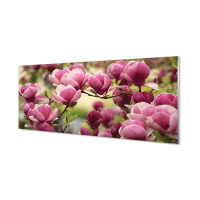 Panel Kuchenny Szklany Kwitnące Drzewa Owocowe