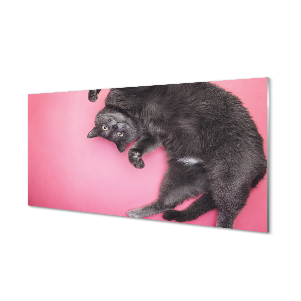 Panel Szklany Leżący kot