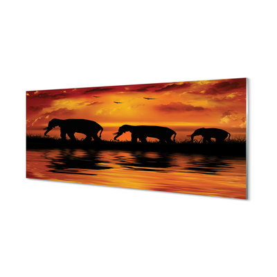 Szklany Panel Zachód słonie jezioro