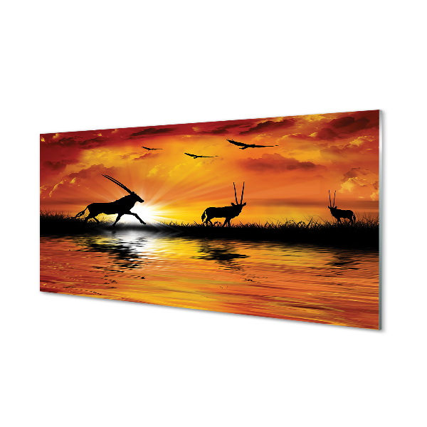 Panel szklany do Kuchni Ptaki nad Jeziorem o Zmierzchu