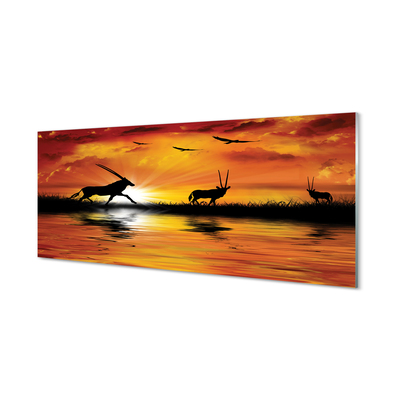 Panel szklany do Kuchni Ptaki nad Jeziorem o Zmierzchu