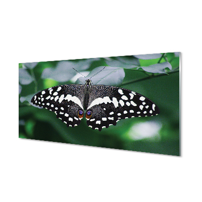 Panel Szklany Kolorowy motyl liście