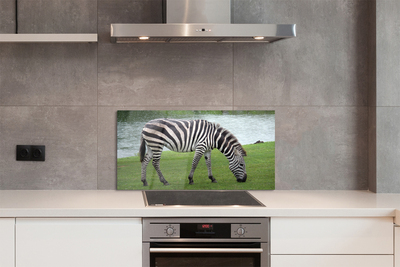 Szkło do Kuchni na Ścianę Portret Zebry w Paski