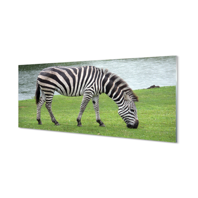 Szklany Panel Zebra