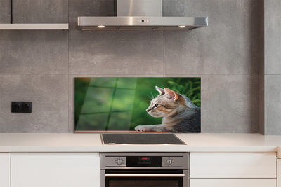 Panel Szklany Hipnotyzujące Spojrzenie Pupila