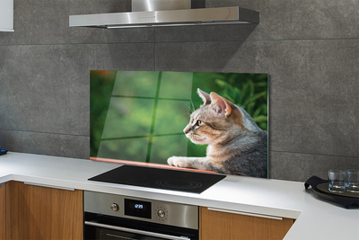 Panel Szklany Hipnotyzujące Spojrzenie Pupila