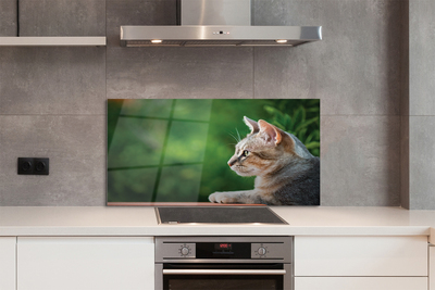 Panel Szklany Hipnotyzujące Spojrzenie Pupila