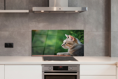 Panel Szklany Hipnotyzujące Spojrzenie Pupila