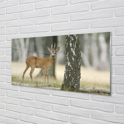 Szkło Ozdobne do Kuchni Król Lasu w Swoim Królestwie