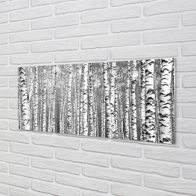 Szklany Panel Czarno-białe drzewa
