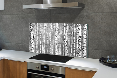 Szklany Panel Czarno-Biała Fotografia Drzew