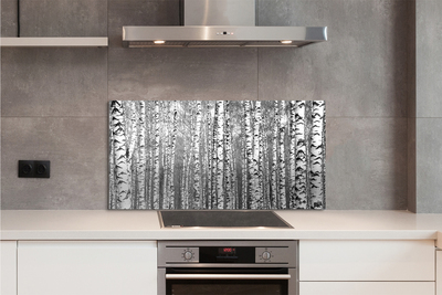 Szklany Panel Czarno-Biała Fotografia Drzew