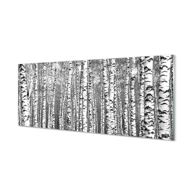 Szklany Panel Czarno-Biała Fotografia Drzew