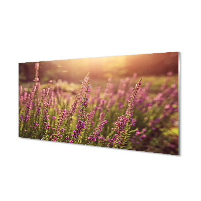 Szkło do Kuchni na Ścianę Rozległe Pole Wrzosów