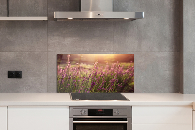 Szkło do Kuchni na Ścianę Rozległe Pole Wrzosów