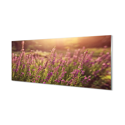 Szkło do Kuchni na Ścianę Rozległe Pole Wrzosów