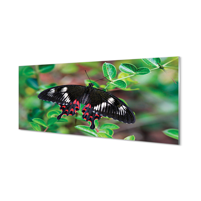 Panel Szklany Liście kolorowy motyl