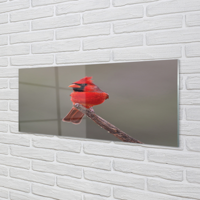 Panel Szklany Czerwona papuga na gałęzi