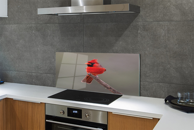 Panel szklany do Kuchni Czerwona Ara w Gęstwinie