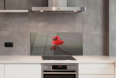 Panel szklany do Kuchni Czerwona Ara w Gęstwinie