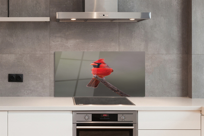 Panel szklany do Kuchni Czerwona Ara w Gęstwinie