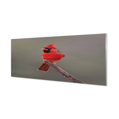 Panel Szklany Czerwona papuga na gałęzi