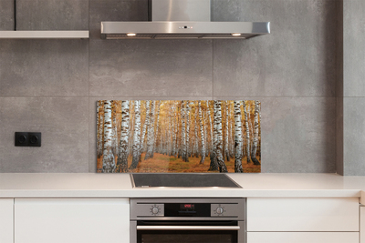 Panel szklany do Kuchni Jesienne Drzewa w Złocie