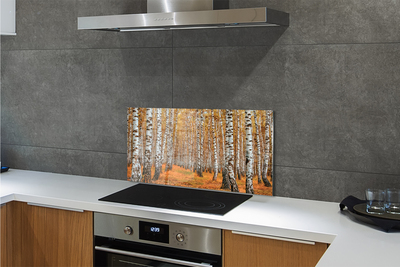 Panel szklany do Kuchni Jesienne Drzewa w Złocie