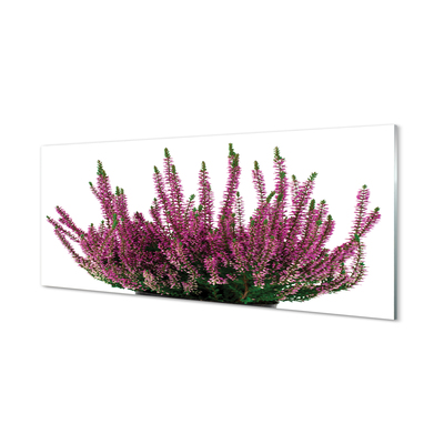 Szkło do Kuchni na Ścianę Kwiaty Wrzosu