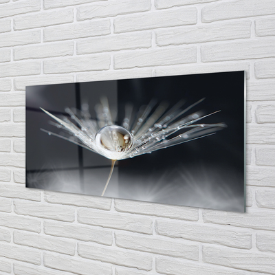 Panel nad Blat Kuchenny Mikroświat na Dmuchawcu