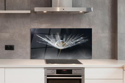 Panel nad Blat Kuchenny Mikroświat na Dmuchawcu