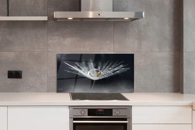 Panel nad Blat Kuchenny Mikroświat na Dmuchawcu