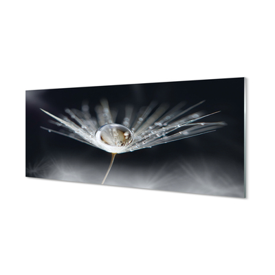 Panel nad Blat Kuchenny Mikroświat na Dmuchawcu