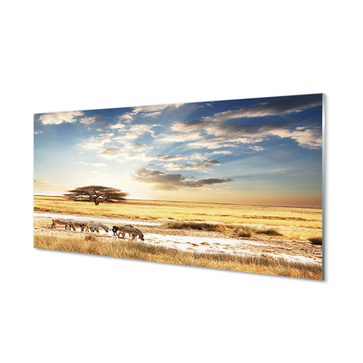 Panel szklany do Kuchni Zebry i Akacja pod Chmurami