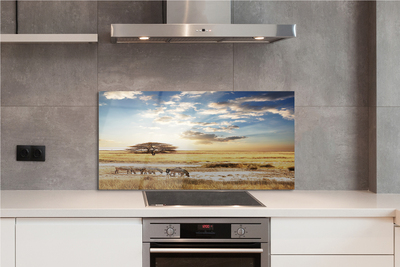 Panel szklany do Kuchni Zebry i Akacja pod Chmurami