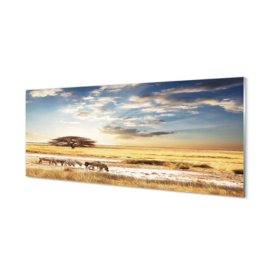 Panel szklany do Kuchni Zebry i Akacja pod Chmurami