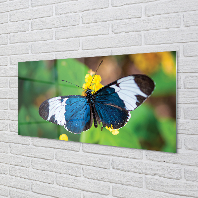 Panel Szklany Kolorowy motyl na kwiatach