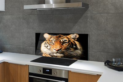 Panel szklany do Kuchni Skradający się Drapieżnik