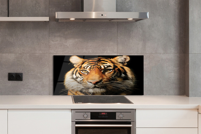 Panel szklany do Kuchni Skradający się Drapieżnik