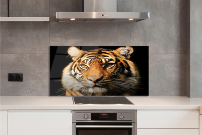 Panel szklany do Kuchni Skradający się Drapieżnik