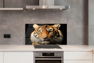 Panel szklany do Kuchni Skradający się Drapieżnik