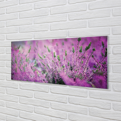Szkło do Kuchni na Ścianę Fioletowy Dywan Wrzosowisk